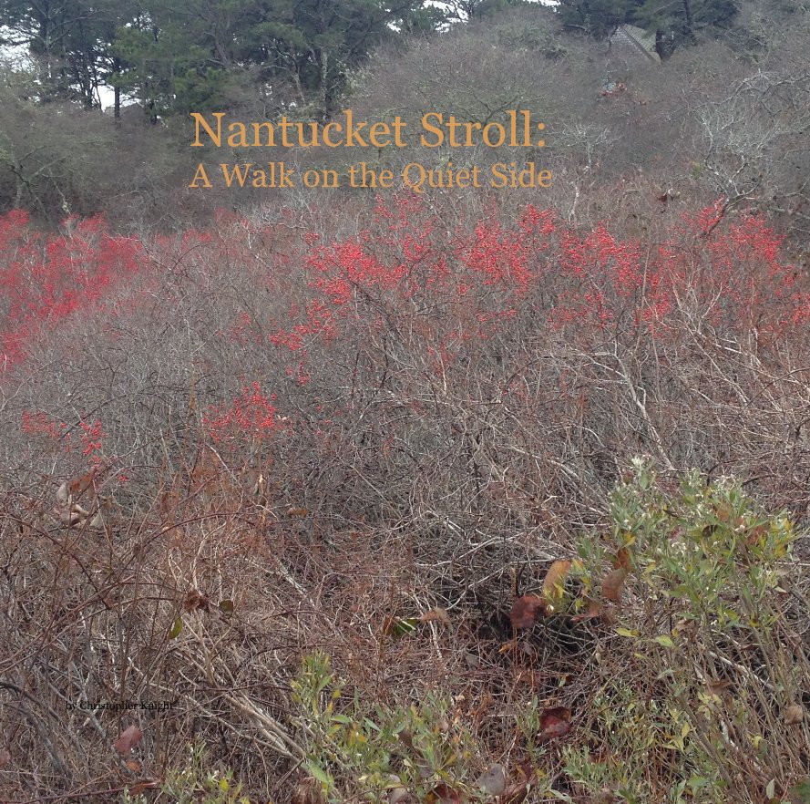 Nantucket Stroll: A Walk on the Quiet Side nach Christopher Knight anzeigen