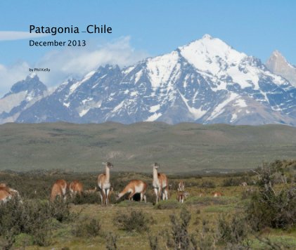 Patagonia -Chile December 2013 book cover