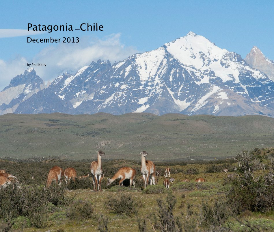 View Patagonia -Chile December 2013 by Phil Kelly