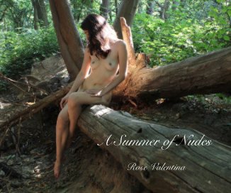 A Summer of Nudes book cover