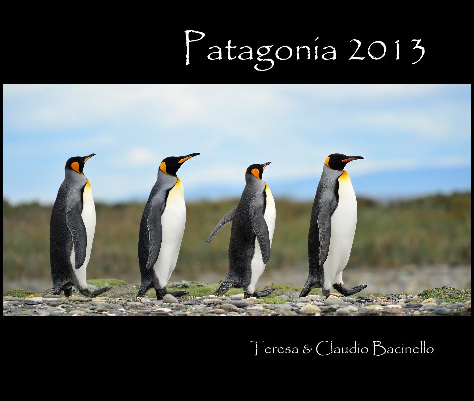View Patagonia 2013 by cbacinello