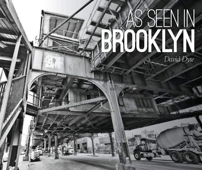 Ver As Seen in Brooklyn por David Dyte - design by Lucia Reed