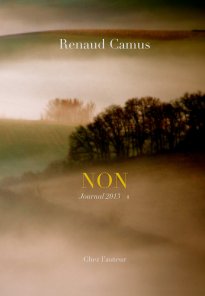 NON. Journal 2013 (vol. 1) book cover