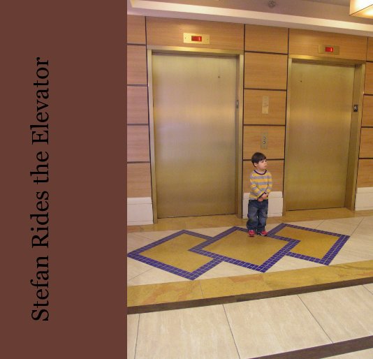 View Stefan Rides the Elevator by Dorothy Segal