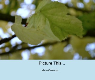Picture This... book cover