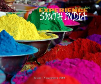 Experience South India book cover
