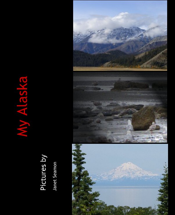 View My Alaska by Janet Seamon