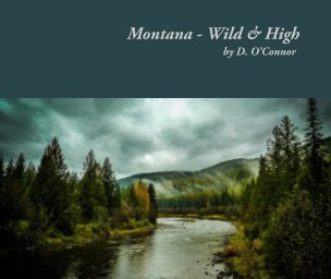 Montana - Wild & High book cover