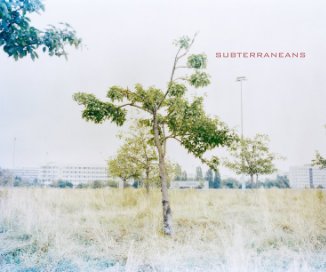 Subterraneans (On Landscape Dummy) book cover