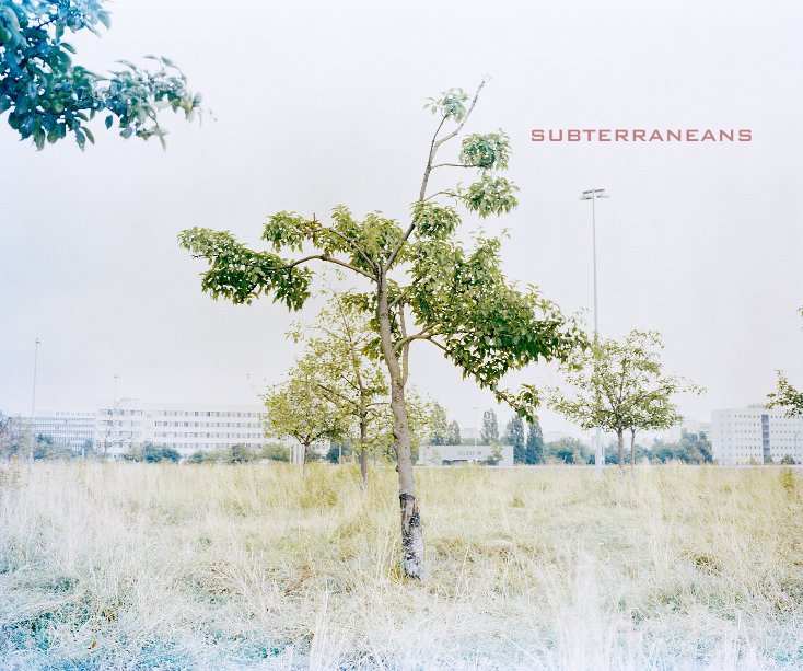 View Subterraneans (On Landscape Dummy) by Andrew Youngson