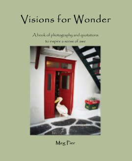 Visions for Wonder book cover