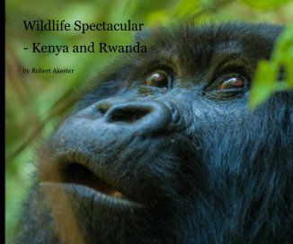 Wildlife Spectacular book cover