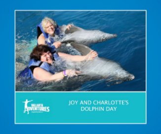 Joy And Charlotte´s Dolphin Day book cover