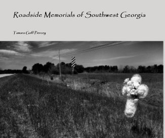 Roadside Memorials of Southwest Georgia book cover