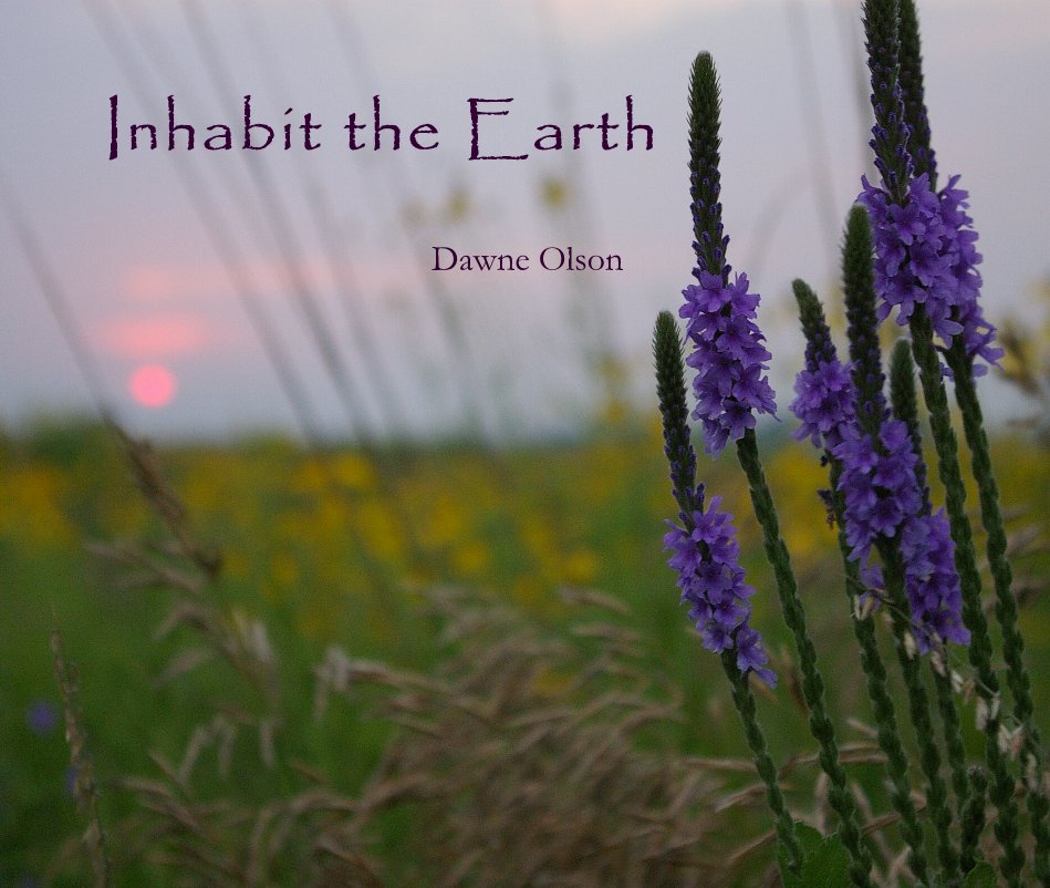 View Inhabit the Earth by Dawne Olson