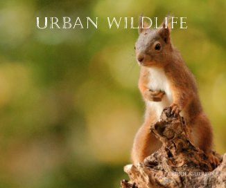 URBAN WILDLIFE book cover