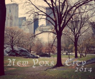 New York City 2014 book cover