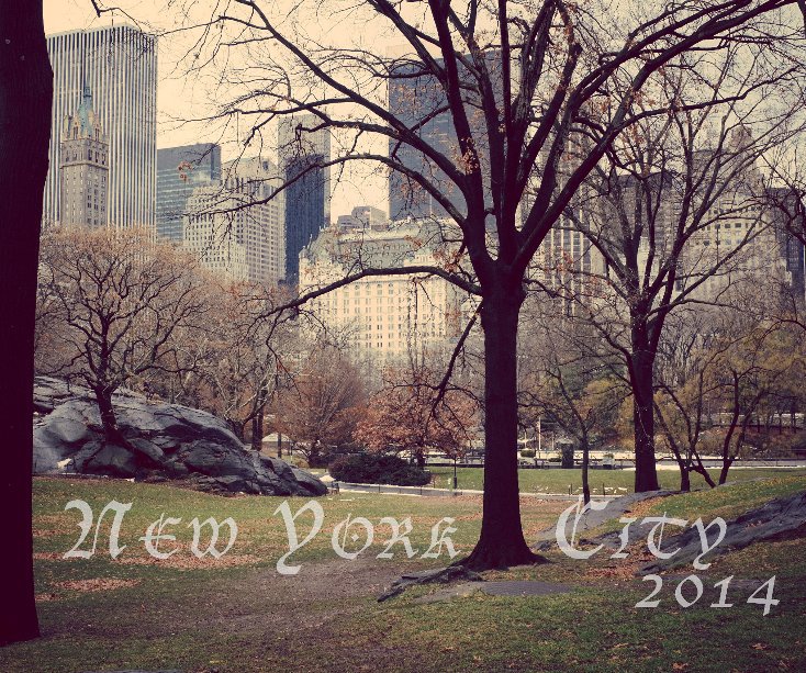 View New York City 2014 by derek2ndlp
