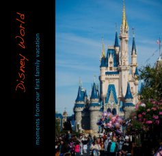 Disney World book cover