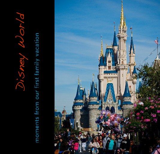 View Disney World by jprpich