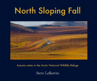 North Sloping Fall book cover