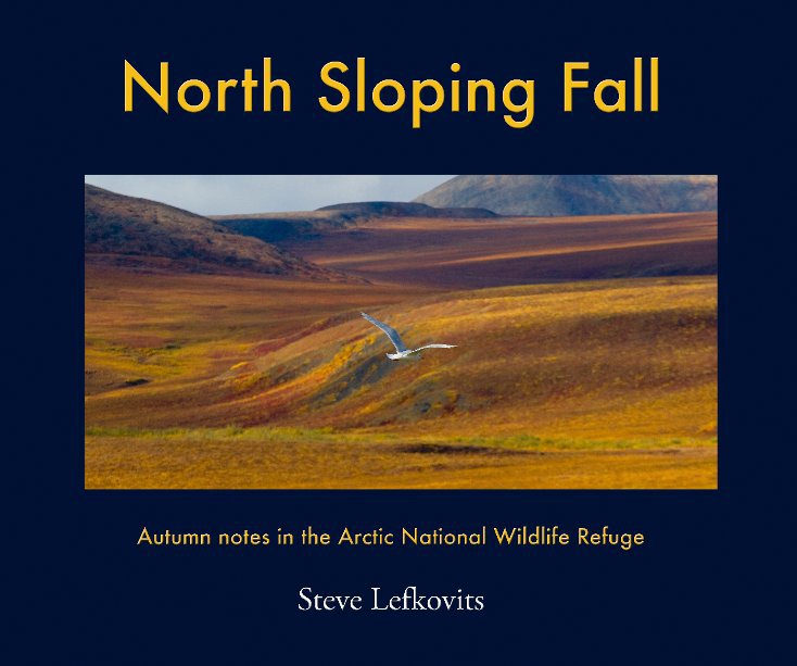 Bekijk North Sloping Fall op Steve Lefkovits