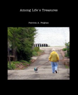 Among Life's Treasures book cover