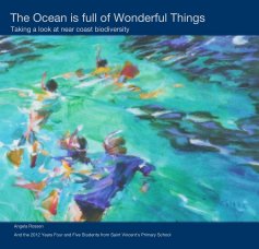 The Ocean is Full of Wonderful Things book cover
