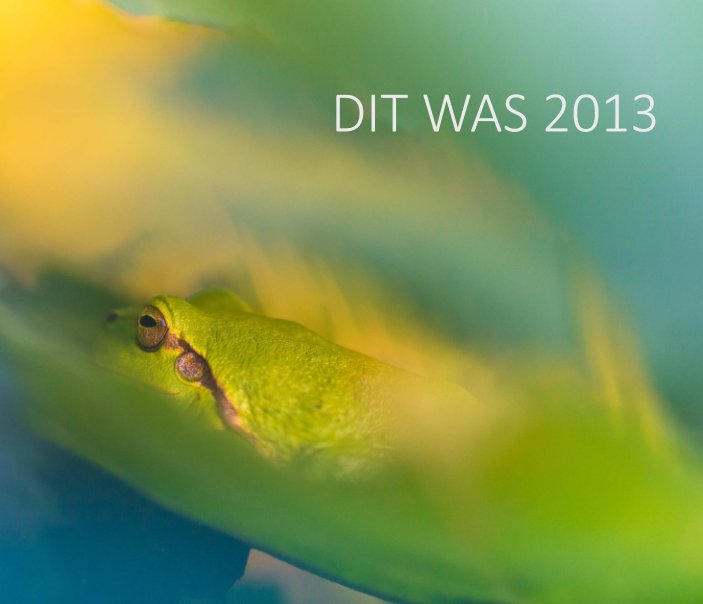 View Dit was 2013 by Jeffrey Van Daele