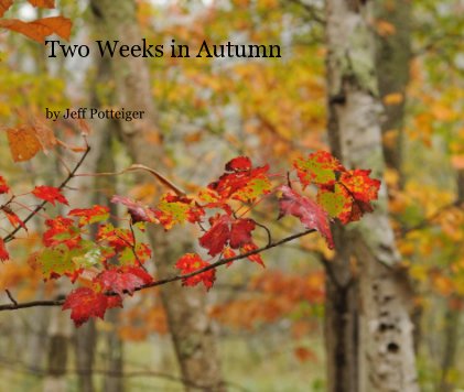 Two Weeks in Autumn book cover