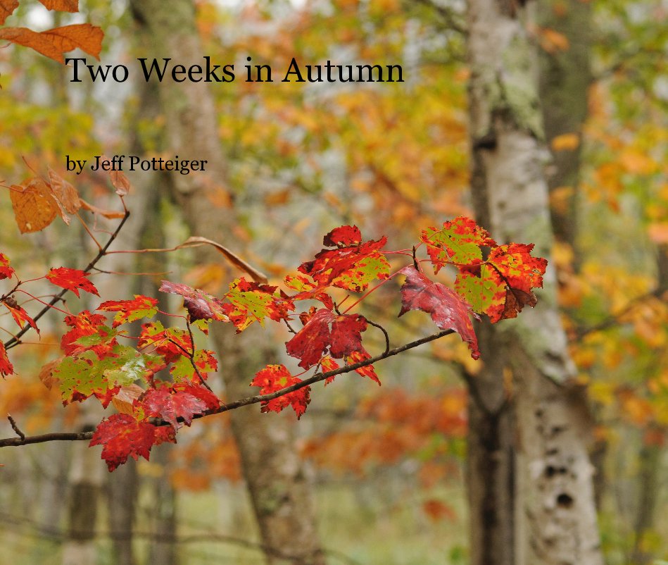 View Two Weeks in Autumn by Jeff Potteiger