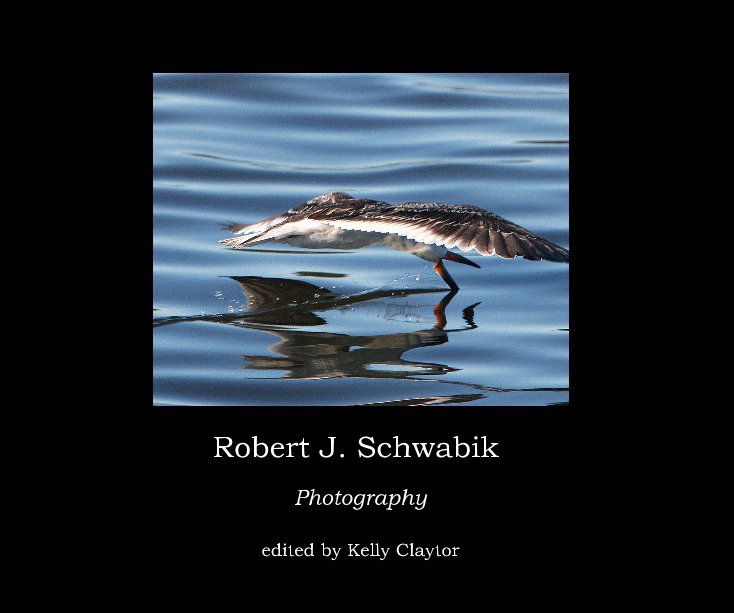 Ver Robert J. Schwabik por edited by Kelly Claytor