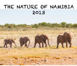 The Nature of Namibia 2013 book cover