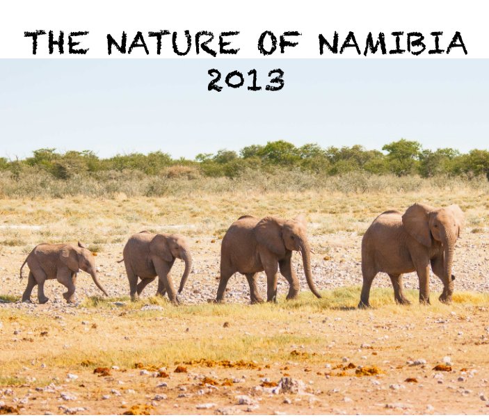 View The Nature of Namibia 2013 by Kaye Kelly