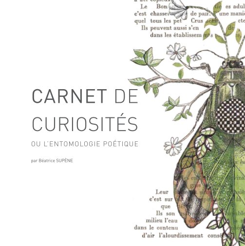 Visualizza Carnet de curiosités di Béatrice Suspène