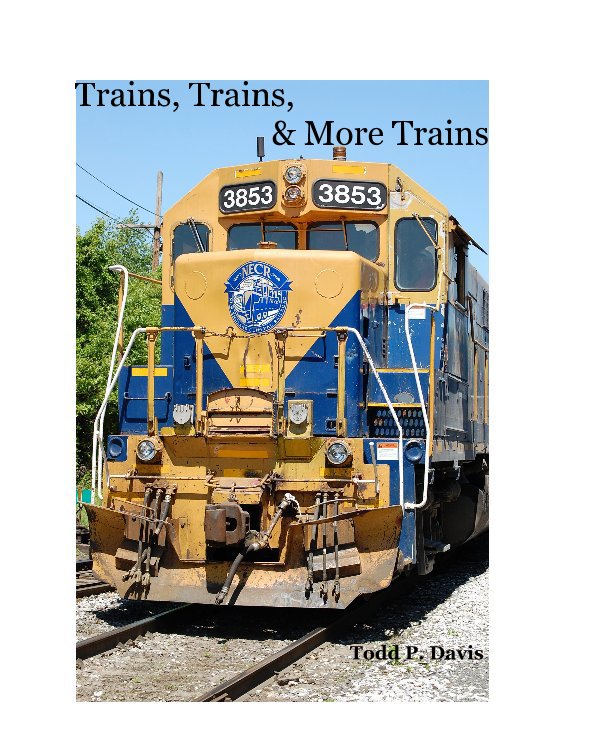 View Trains, Trains, & More Trains by Todd P. Davis