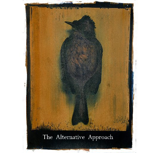 View The Alternative Approach by The Kiernan Gallery