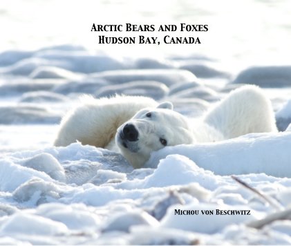 Arctic Bears and Foxes book cover