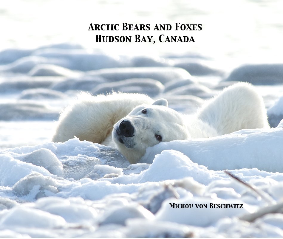 View Arctic Bears and Foxes by Michou von Beschwitz