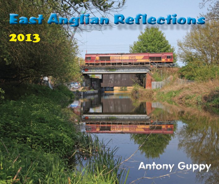 View East Anglian Reflections 2013 by Antony Guppy