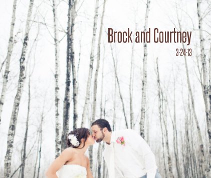 Brock and Courtney book cover