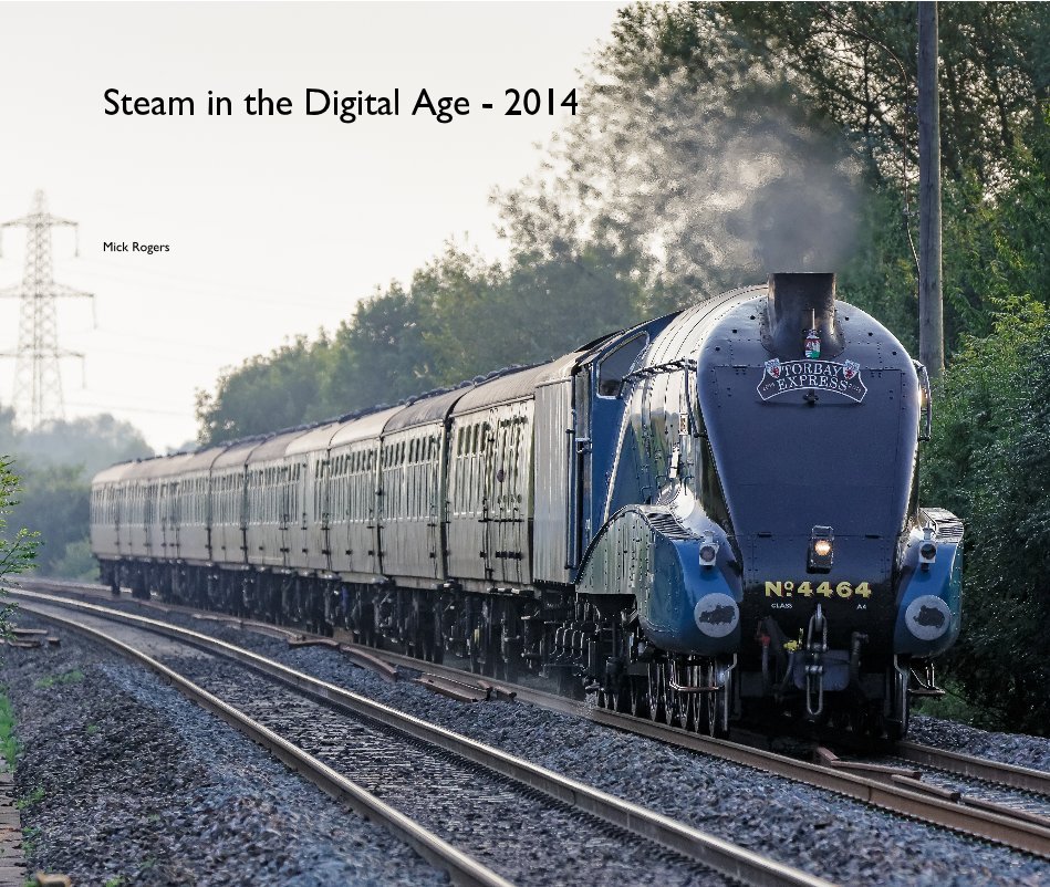 View Steam in the Digital Age - 2014 by Mick Rogers
