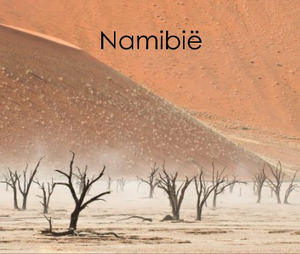 Namibië book cover