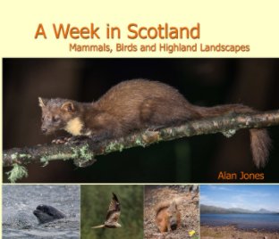 A Week in Scotland book cover