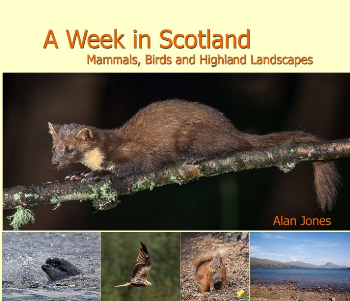View A Week in Scotland by Alan Jones