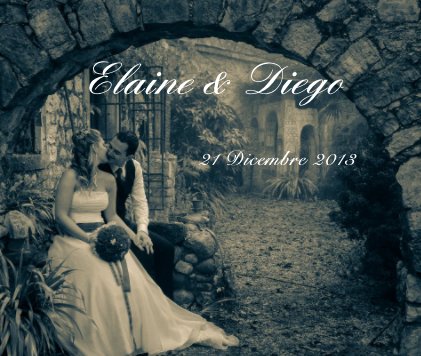 Elaine & Diego book cover