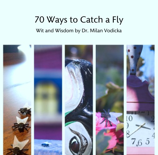 70 Ways to Catch a Fly nach Dr. Milan Vodicka anzeigen