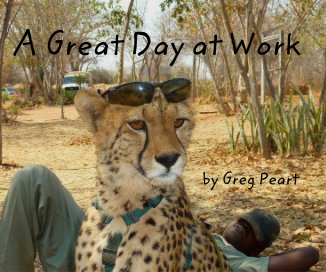 A Great Day at Work book cover