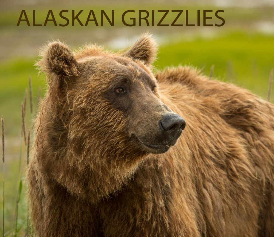Ver Alaskan Grizzlies por Connie Barr