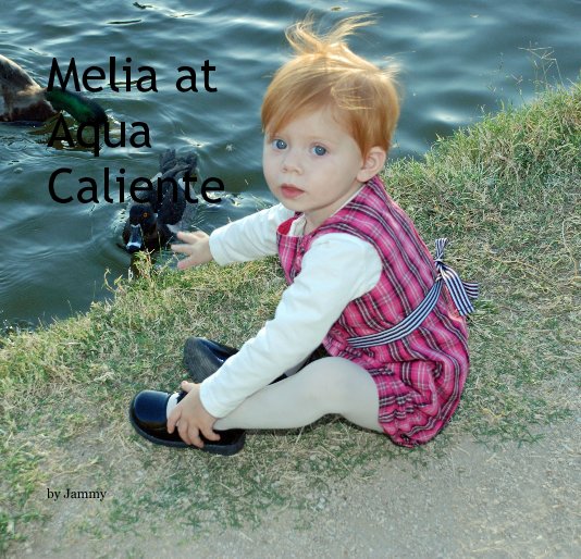 View Melia at Aqua Caliente by Jammy